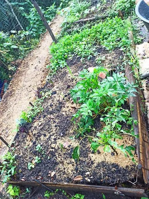 Lodge Granja Homestay Medellin Colombia